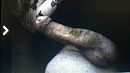 wie, foto 816x459, 0 reacties, 0 stemmen