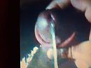 zaad, foto 2592x1944, 0 reacties, 0 stemmen