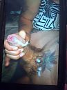 zaad, foto 1944x2592, 0 reacties, 0 stemmen