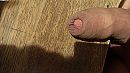 zonnige groeten2, foto 3264x1836, 3 reacties, 8 stemmen