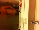 .., film 00:00:01, 2 reacties, 2 stemmen