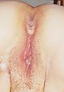 16, foto 960x1358, 0 reacties, 3 stemmen