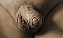 ...., foto 2542x1563, 4 reacties, 17 stemmen