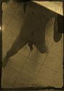 Beetje vaag, foto 1165x1654, 0 reacties, 0 stemmen