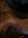 Begin alweer redelijk onder de, foto 960x1280, 0 reacties, 2 stemmen