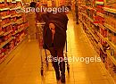 Boodschappen doen in Zelzate, foto 995x722, 3 reacties, 52 stemmen