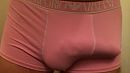 Boxer, foto 2721x1535, 0 reacties, 1 stemmen