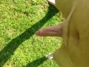 Buiten spuiten!, film 00:00:00, 3 reacties, 21 stemmen
