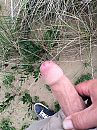Buiten, foto 1536x2048, 3 reacties, 9 stemmen