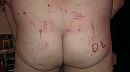 Bullwhips en..., foto 800x449, 0 reacties, 2 stemmen