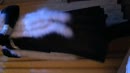 Chique de la freak ;), film 00:00:04, 12 reacties, 64 stemmen