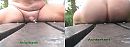 Co laat zich zien, foto 1561x572, 3 reacties, 1 stemmen