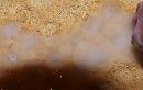 Cumshot van mezelf, foto 1091x694, 0 reacties, 2 stemmen