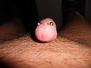 Daar is het dan, foto 4000x3000, 2 reacties, 3 stemmen