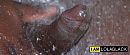 Dames... dit is toch heerlijk?, foto 4000x1697, 2 reacties, 7 stemmen