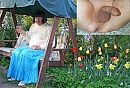 Do you want my tulip, foto 1175x800, 1 reacties, 0 stemmen