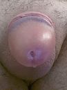 Druppel, foto 480x640, 1 reacties, 4 stemmen