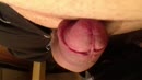 Eikel, film 00:00:00, 0 reacties, 4 stemmen