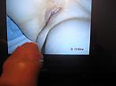 Estheriswet, foto 640x480, 3 reacties, 2 stemmen