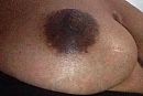 , foto 720x486, 3 reacties, 15 stemmen