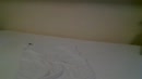 Falcon Anal balls in mn kutje, film 00:00:01, 18 reacties, 41 stemmen