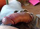 Ff  vlug, foto 2592x1936, 7 reacties, 10 stemmen