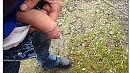 Ff lekker plassen, foto 1136x640, 3 reacties, 4 stemmen