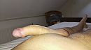 Geil wakker worden, foto 4000x2246, 0 reacties, 2 stemmen