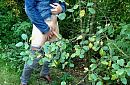 Geile kijker in het bos..., foto 488x322, 11 reacties, 65 stemmen