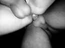 Gelukt!!!, foto 3264x2448, 68 reacties, 242 stemmen