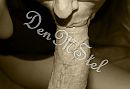Genieten, foto 1392x960, 0 reacties, 6 stemmen