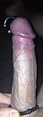Gespierde knots.., foto 596x1598, 0 reacties, 5 stemmen