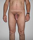 Getrimmed, foto 800x950, 21 reacties, 33 stemmen