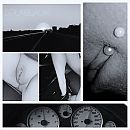 Goedemorgen en ..., foto 2240x2240, 5 reacties, 51 stemmen