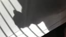Guess what...., film 00:00:11, 4 reacties, 18 stemmen