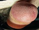 Hallo, foto 2436x1888, 0 reacties, 2 stemmen