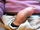 Hard en onbedekt, foto 640x480, 1 reacties, 7 stemmen