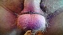 Harig, foto 1280x720, 18 reacties, 31 stemmen