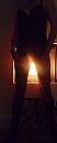 I'm on fire, foto 522x1280, 4 reacties, 33 stemmen
