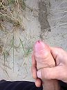 In de duinen., foto 2448x3264, 1 reacties, 2 stemmen