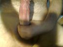 In volle glorie, foto 1600x1200, 0 reacties, 4 stemmen