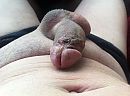 Is tie mooi!!!!!!, foto 2592x1936, 5 reacties, 11 stemmen