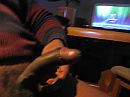 Its me, foto 3264x2448, 1 reacties, 2 stemmen