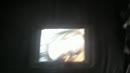 Jammie, film 00:00:19, 1 reacties, 2 stemmen