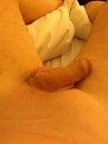 Kaal beter te zien?, foto 720x960, 1 reacties, 6 stemmen