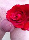 Kiss.., foto 968x1296, 1 reacties, 4 stemmen