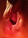 Klaar, foto 480x640, 0 reacties, 15 stemmen