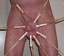 Knijperspin, foto 500x440, 2 reacties, 5 stemmen