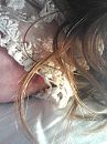 Lace, foto 1200x1600, 3 reacties, 23 stemmen