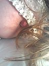 Lace, foto 1200x1600, 10 reacties, 40 stemmen